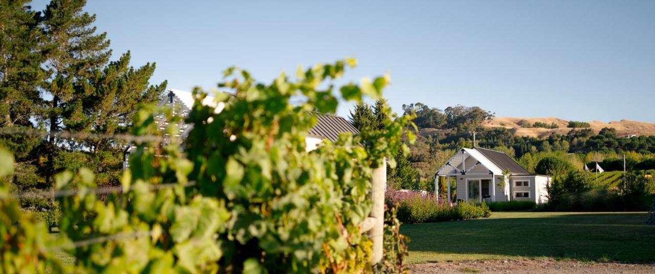 Willa 305 In The Vines Havelock North Zewnętrze zdjęcie